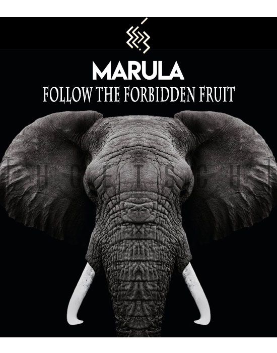 Marula, Follow the Forbidden Fruit!