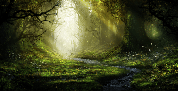 The Curse of Curawood’s Garden.