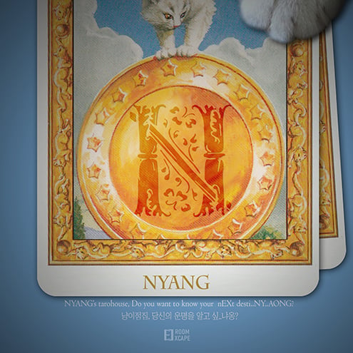 냥이점집 [Cat's Tarohouse]