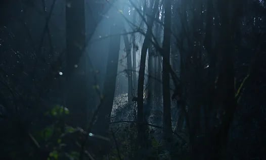 The Hunted: The Hollow Grove Ripper [Indoor/Outdoor]