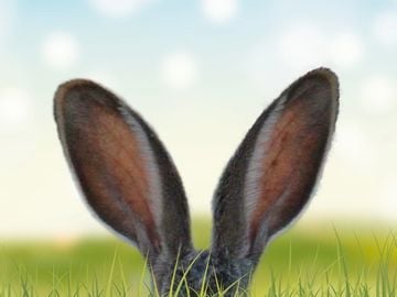 Mystery Of The Horned Rabbit