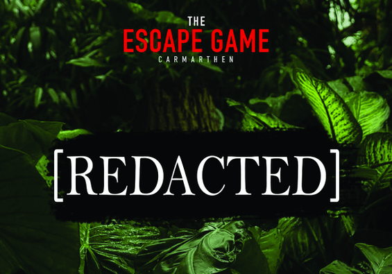 [Redacted]