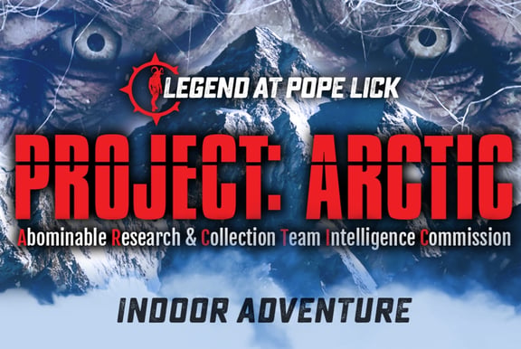 Project: Arctic