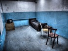 The Asylum