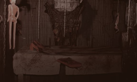 Silent Hill. Alchemilla Asylum