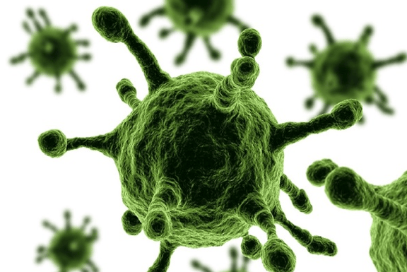 Pandemic