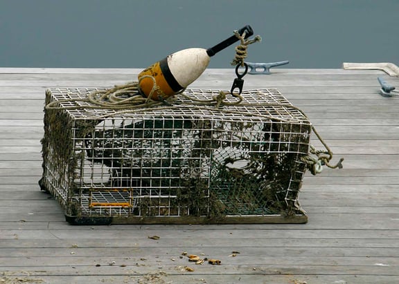 The Bait Room