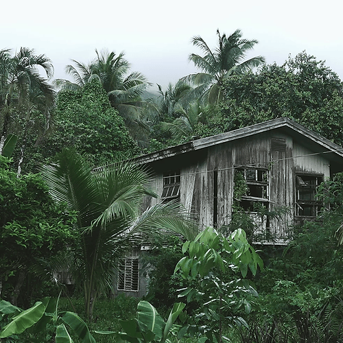 Jungle Escape