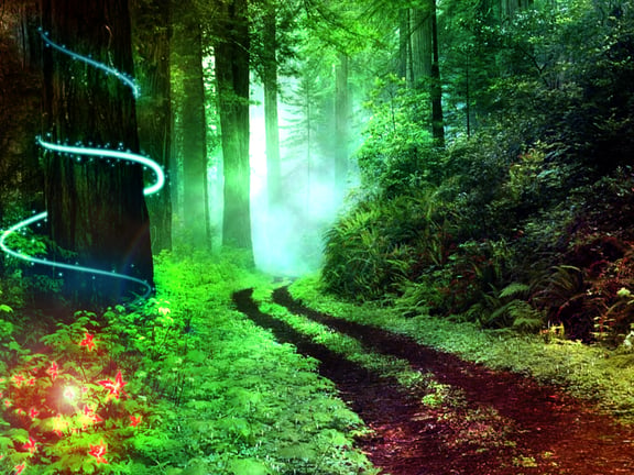 The Witching Hour
