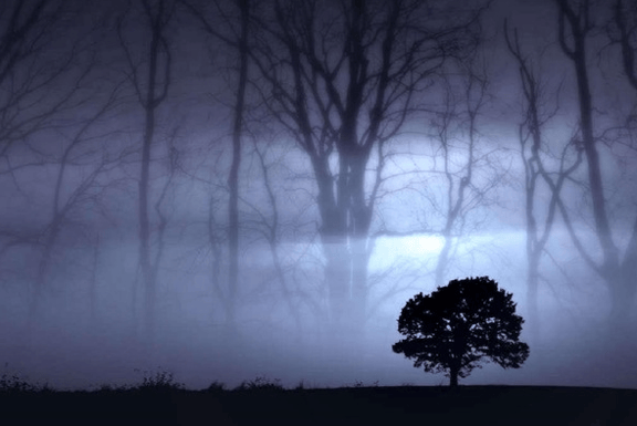 Blue Light Haunting