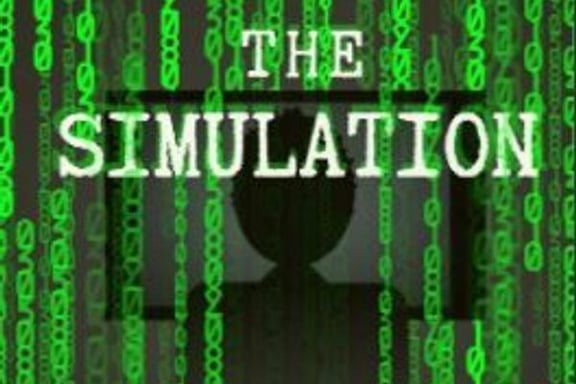 The Simulation