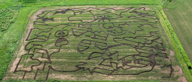 Spearfish Scare Corn Maze