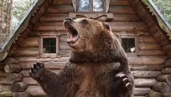 Bear Trap