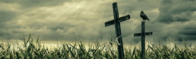 The Haunted Corn Trail