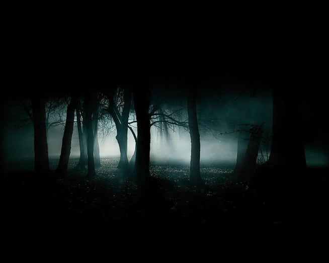 Haunted Woods