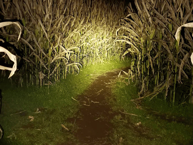 Flashlight Maze