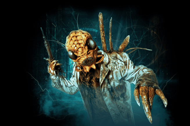 Infestation