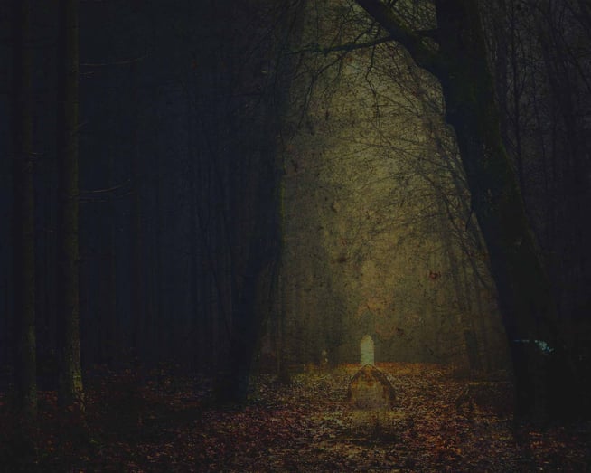 Trail of Terror