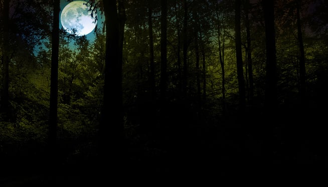 Blightwoods