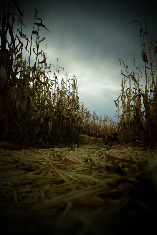 Haunted Trail