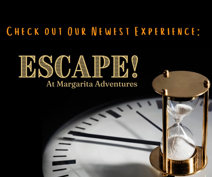 Main image for Margarita Adventures