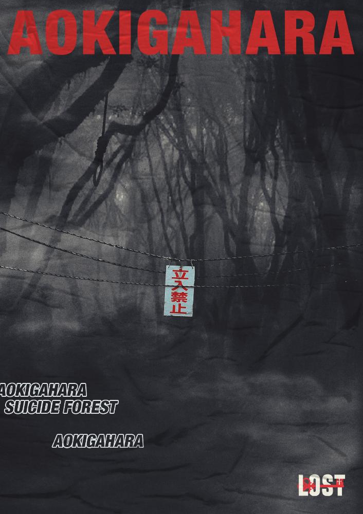 Main image for Lost