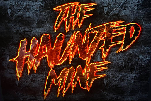 Main image for Tour-Ed Mine and Museum