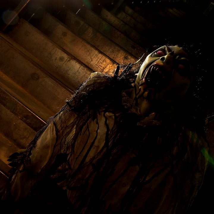 Main image for Reno Fright Fest