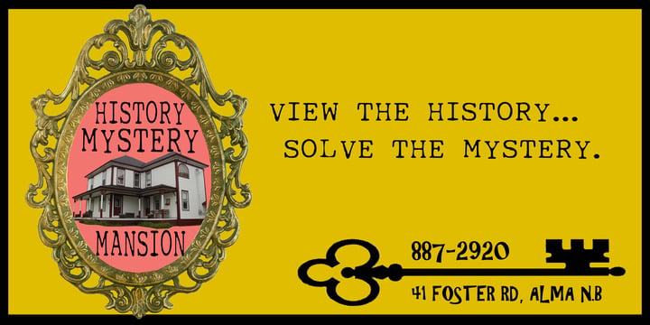Main image for History Mystery Mansion