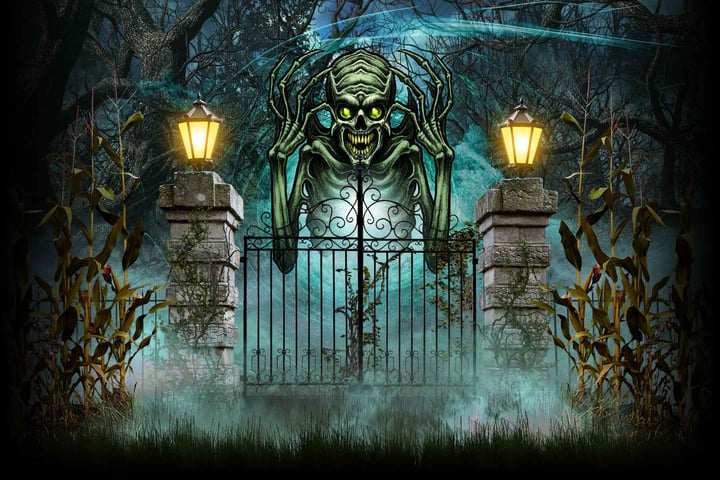 Main image for The 13th Realm