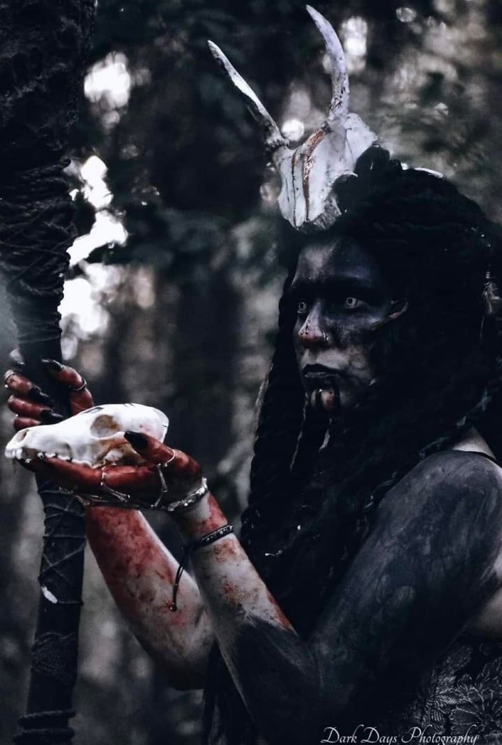 Main image for Creepy Hollow Woods FL