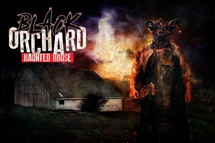 Main image for Black Orchard Haunted House