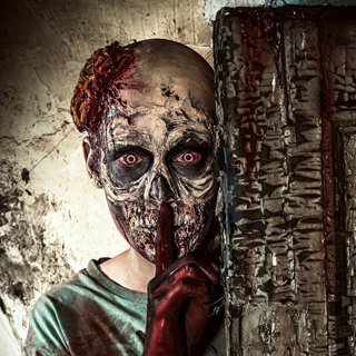 Main image for Zombie Escape