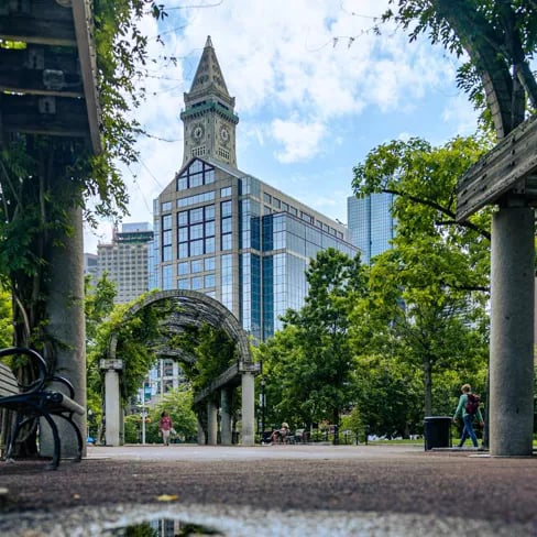 Main image for CityDays - Boston