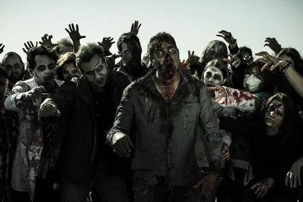 Main image for Chiller Night