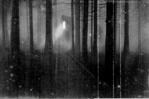 Main image for The Ocala Escape