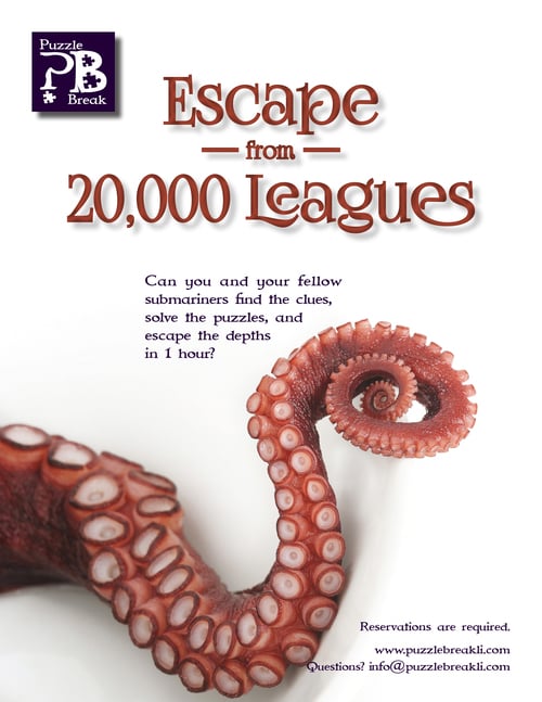 Main image for Puzzle Break