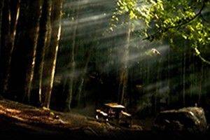 Main image for Escape Game Knoxville