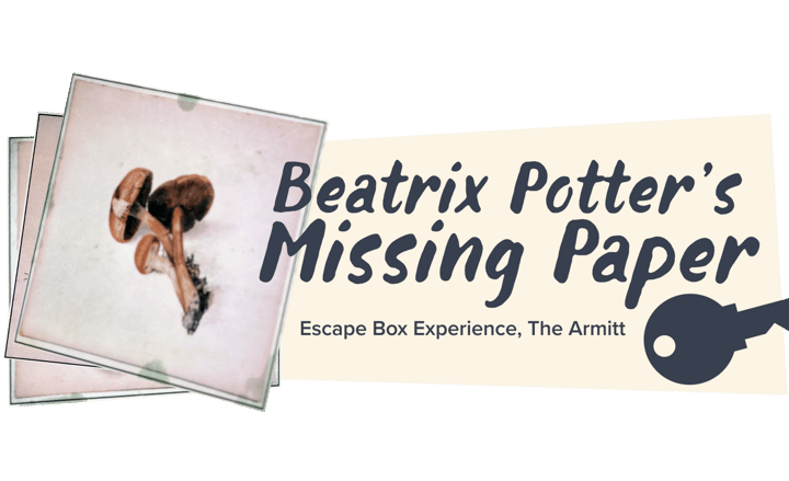 Main image for The Armitt