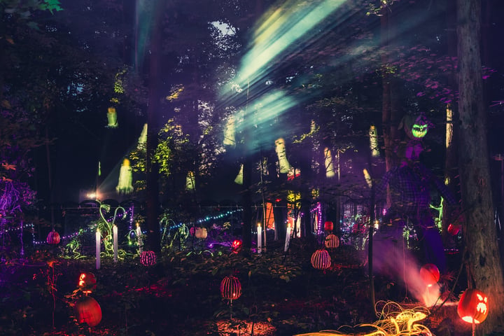 Main image for The Haunted Forest: CarnEvil