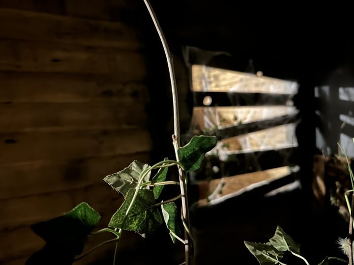 Main image for Escape Game Cube - Nancy