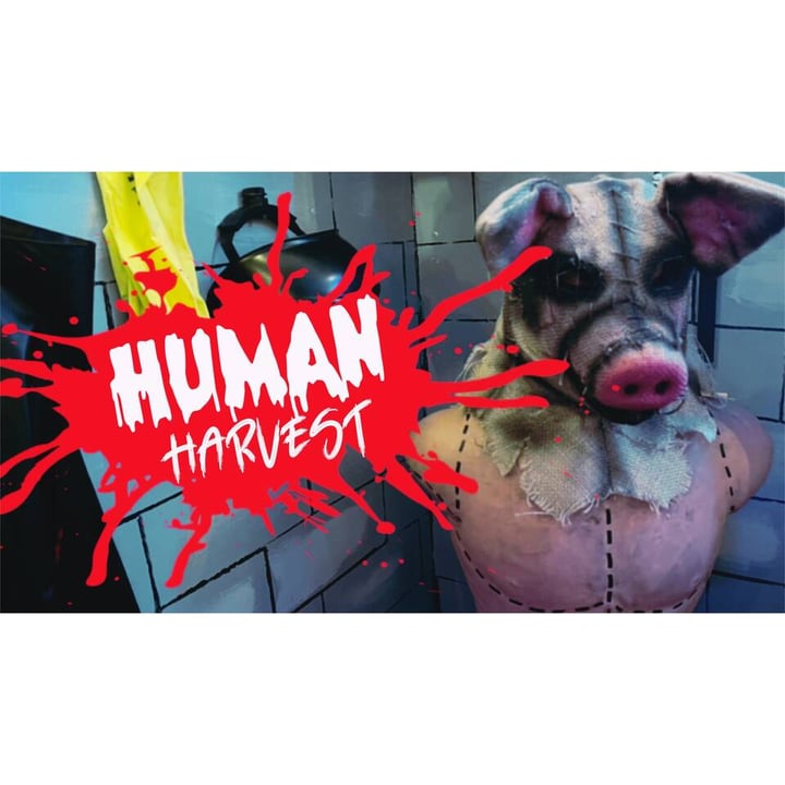 Main image for Escape The Space