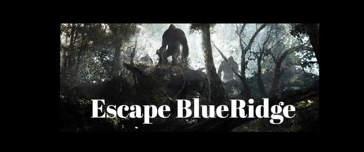 Main image for Escape Blue Ridge - Downtown