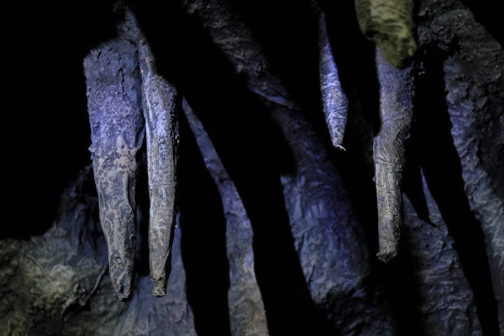 Main image for Útěky
