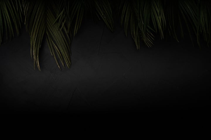 Main image for Descifrado Escape Room | Tijola - Almería