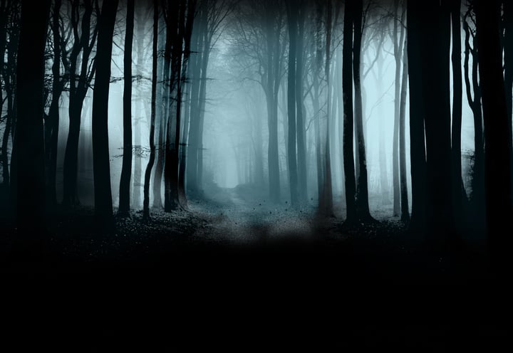 Main image for The Hill Has Eyes