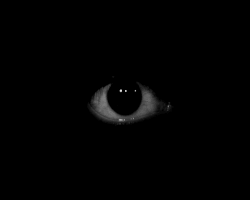 Main image for Dark Side of the Abbey