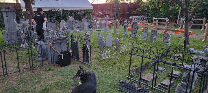 Main image for Twin Oaks Manor Haunt