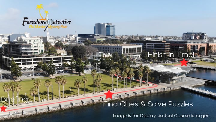 Main image for Foreshore Detective