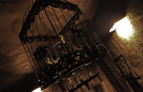 Main image for Escape If You Can - Live Escape Game La Roche-Sur-Yon